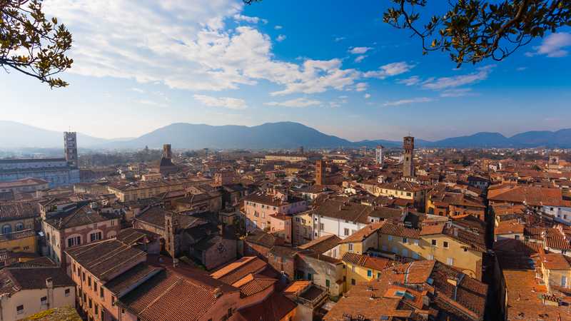 Lucca view from Guinigi Tower.